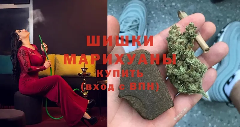 Марихуана план  Пошехонье 